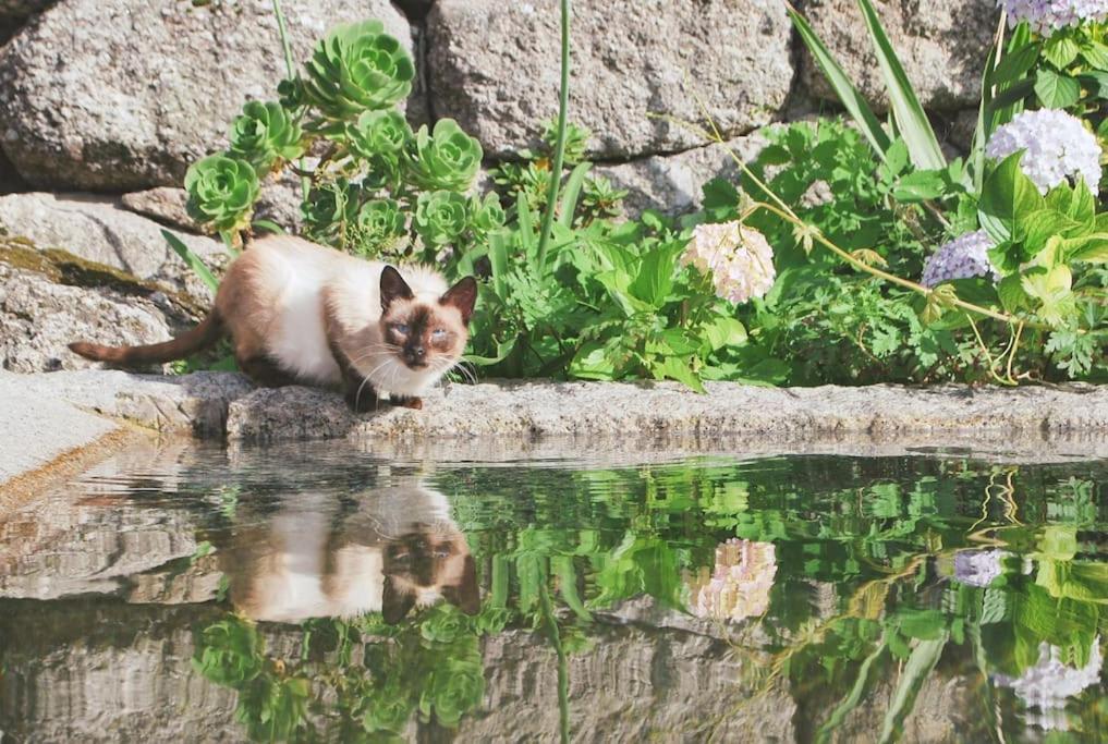 Retiro De Varzeas . Casa De Turismo Rural ヴィエイラ・ド・ミーニョ エクステリア 写真